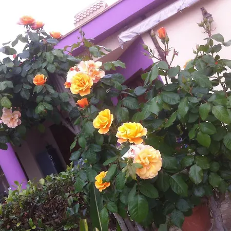 Surriano Casa de Férias *