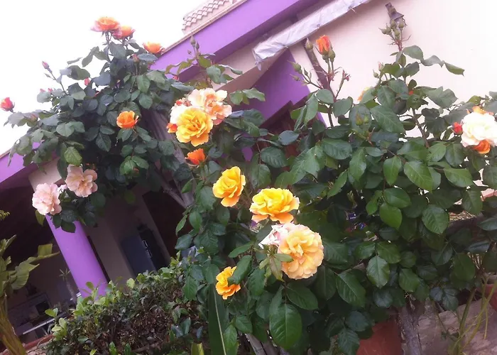Surriano Casa de Férias *