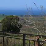 Surriano *