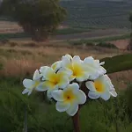 Surriano بيت للعطل