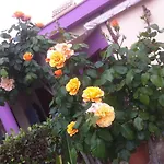 Surriano بيت للعطل *
