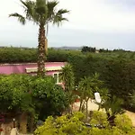 Surriano * شاكا